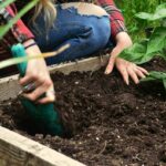 DIY Outdoor Yard Garden: 7 Proven Tips to Avoid Costly Seasonal Mistakes