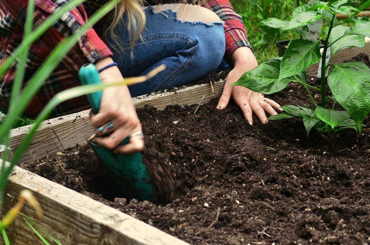 DIY Outdoor Yard Garden: 7 Proven Tips to Avoid Costly Seasonal Mistakes